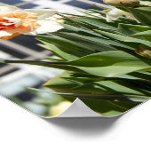 Delikate niedliche Narzissen Poster (Ecke)