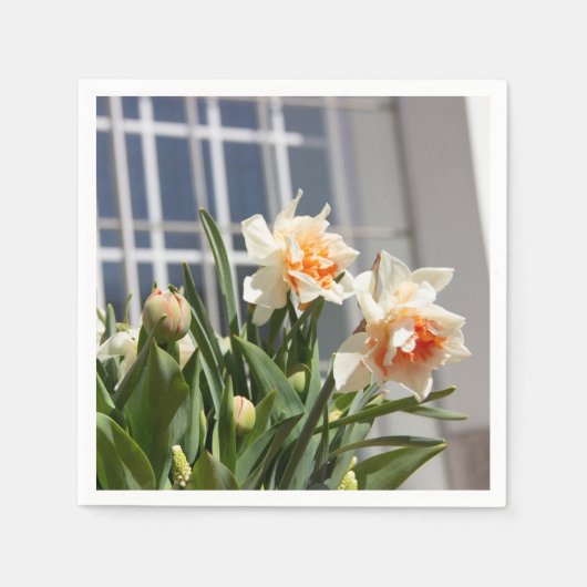 Delikate niedliche Narzissen Serviette (Vorderseite)