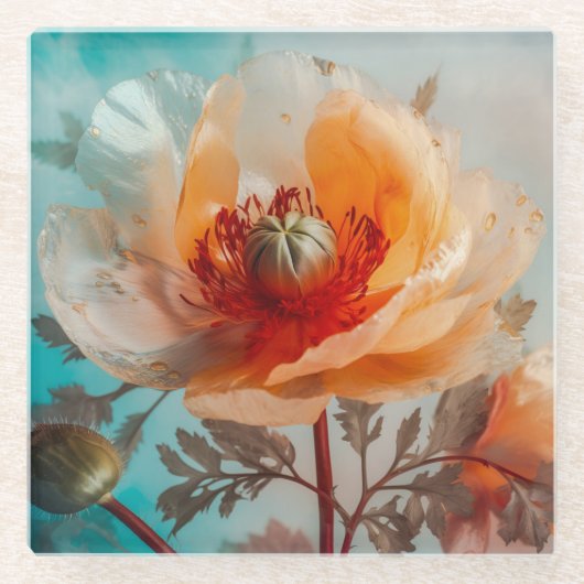 Delikate Orange-Blume Glasuntersetzer (Vorderseite)