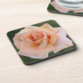 Delikate Orange Rose Blütenblume Getränkeuntersetzer