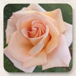 Delikate Orange Rose Blütenblume Getränkeuntersetzer