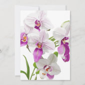 Delikate Orchid Brunch Probe Einladung (Rückseite)