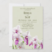 Delikate Orchid Wedding Brunch Probe Einladung (Vorderseite)