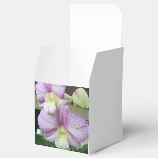Delikate Orchideen auf Personalisierten Gefälligke Geschenkschachtel (Geöffnet)