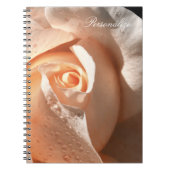 Delikate Pfirsichfarben mit Taube Notizblock (Vorderseite)