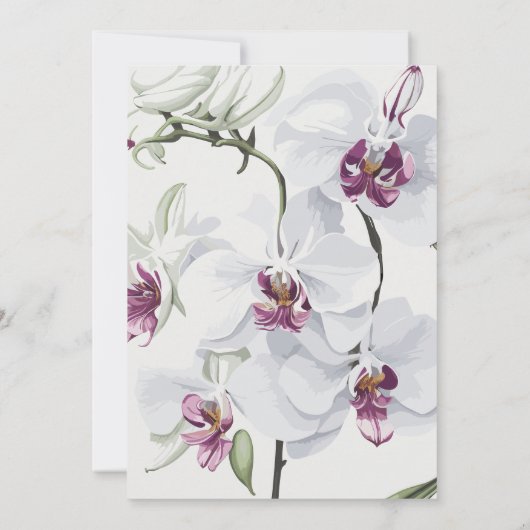 Delikate Probe Einladung (Rückseite)