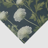 Delikate Queen Anne's Lace Pattern Seidenpapier (Ausschnitt)