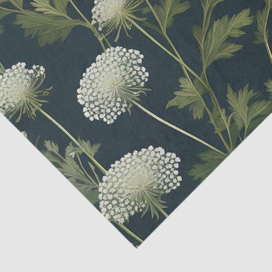 Delikate Queen Anne's Lace Pattern Seidenpapier (Ausschnitt)