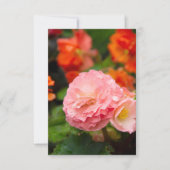 Delikate rosa Blume nach Regen (Vorderseite)