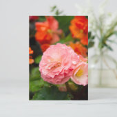 Delikate rosa Blume nach Regen (Stehend Vorderseite)