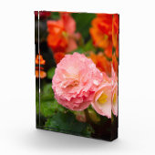 Delikate rosa Blume nach Regen Fotoblock (Rechts)