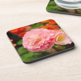 Delikate rosa Blume nach Regen Getränkeuntersetzer