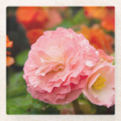 Delikate rosa Blume nach Regen Glasuntersetzer (Vorderseite)