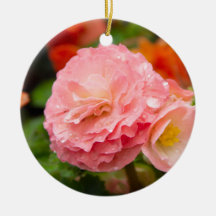 Delikate rosa Blume nach Regen