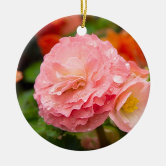 Delikate rosa Blume nach Regen Keramik Ornament (Vorne)