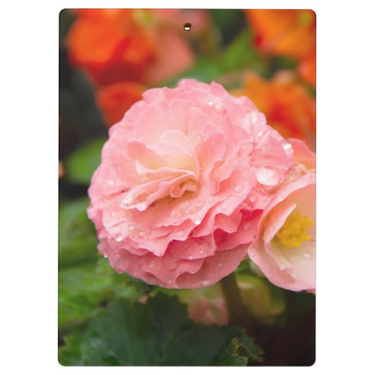 Delikate rosa Blume nach Regen Klemmbrett (Rückseite)