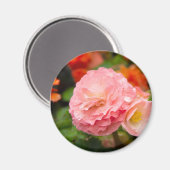 Delikate rosa Blume nach Regen Magnet (Vorderseite/Rückseite)