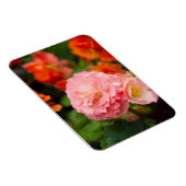 Delikate rosa Blume nach Regen Magnet (Rechte Seite)