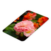 Delikate rosa Blume nach Regen Magnet (Linke Seite)