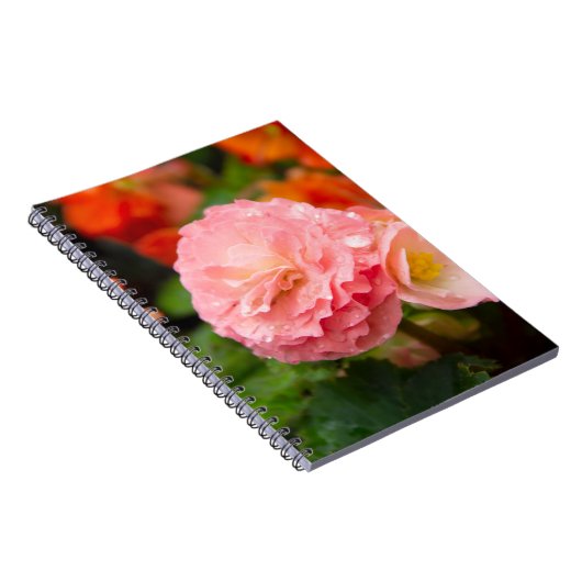 Delikate rosa Blume nach Regen Notizblock (Rechte Seite)