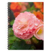 Delikate rosa Blume nach Regen Notizblock (Vorderseite)