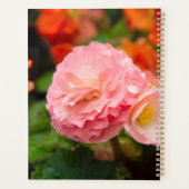 Delikate rosa Blume nach Regen Planer (Rückseite)