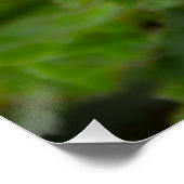 Delikate rosa Blume nach Regen Poster (Ecke)