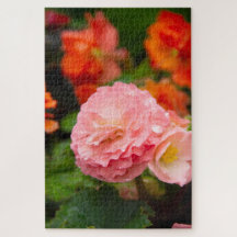 Delikate rosa Blume nach Regen