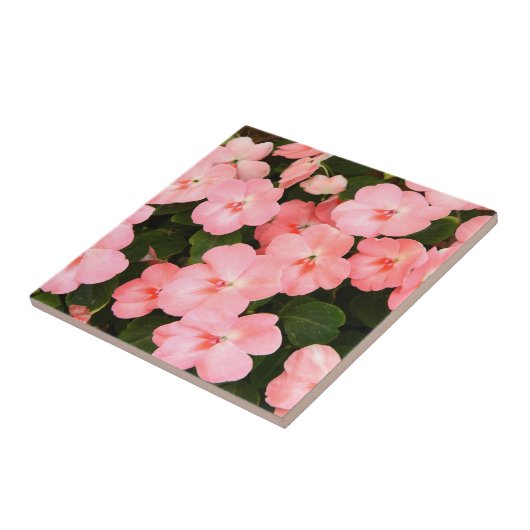 Delikate rosa Frühlingsblumen Fliese (Seite)