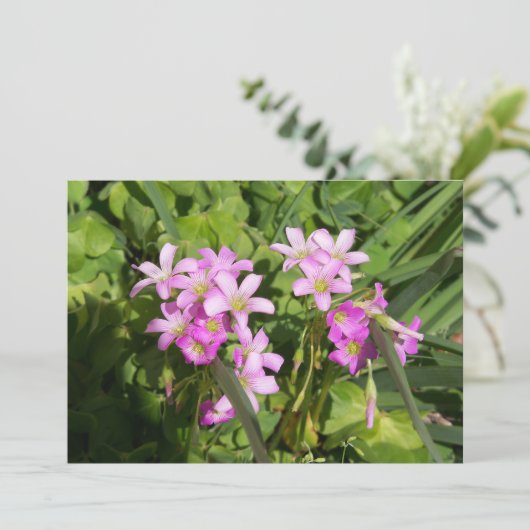 Delikate Rosa Frühlingssonne - Wildblumen (Stehend Vorderseite)