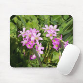 Delikate Rosa Frühlingssonne - Wildblumen Mousepad (Mit Mouse)