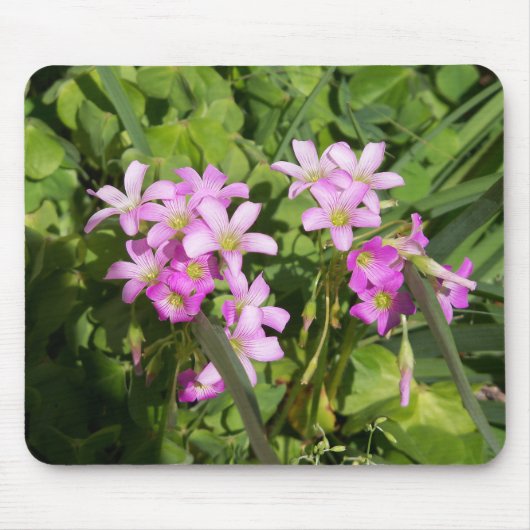 Delikate Rosa Frühlingssonne - Wildblumen Mousepad (Vorne)