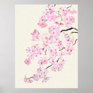 Delikate Rosa Kirschblüte Aquarell 2024 Poster