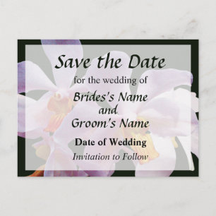 Delikate rosa Orchideen Rett tge Datum Ankündigungspostkarte