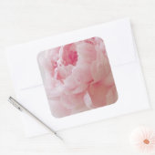 Delikate rosa Peony Stickers (Umschlag)
