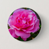 Delikate rosa Rosa Rose. Button (Vorderseite)