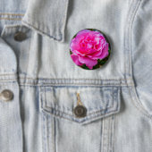 Delikate rosa Rosa Rose. Button (Beispiel)