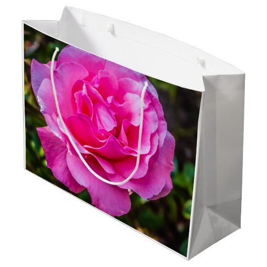 Delikate rosa Rosa Rose. Große Geschenktüte (Rückseite Schrägansicht)