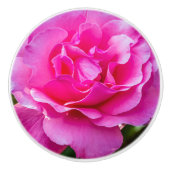 Delikate rosa Rosa Rose. Keramikknauf (Vorderseite)