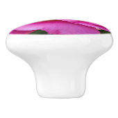 Delikate rosa Rosa Rose. Keramikknauf (Seitenansicht)