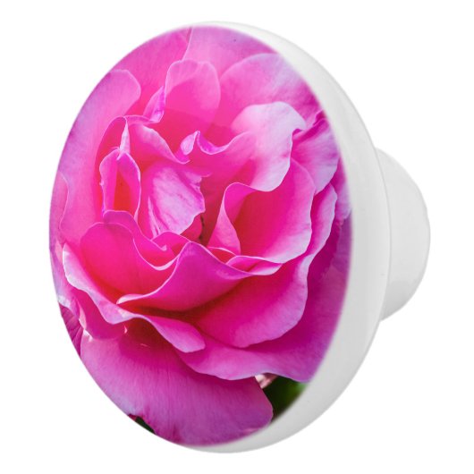 Delikate rosa Rosa Rose. Keramikknauf (Rechts)