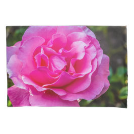 Delikate rosa Rosa Rose. Kissenbezug