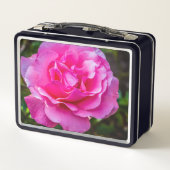 Delikate rosa Rosa Rose. Metall Brotdose (Rückseite)