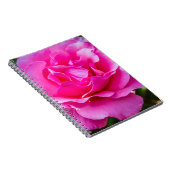 Delikate rosa Rosa Rose. Notizblock (Rechte Seite)