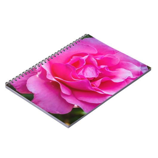 Delikate rosa Rosa Rose. Notizblock (Linke Seite)