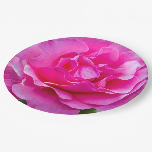 Delikate rosa Rosa Rose. Pappteller (Schrägansicht)