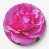 Delikate rosa Rosa Rose. Pappteller (Vorderseite)