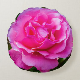 Delikate rosa Rosa Rose. Rundes Kissen