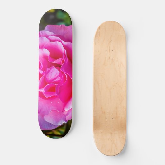 Delikate rosa Rosa Rose. Skateboard (Vorderseite)