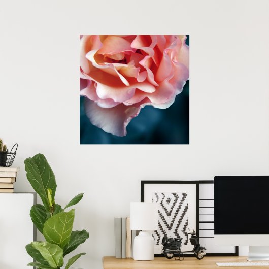 Delikate rosa Rosenblättern Makro Abstrakt Poster (Heimbüro)